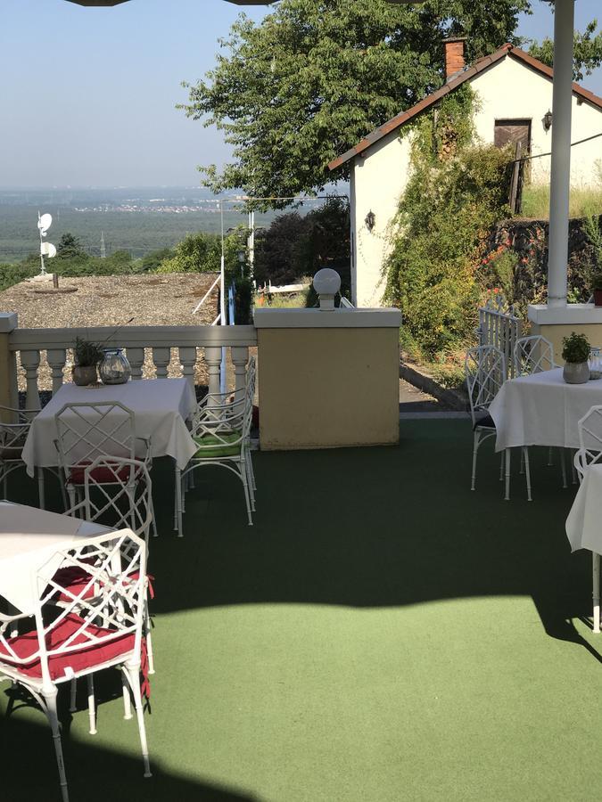 Panorama Hotel Und Restaurant Schlossberg Alzenau in Unterfranken Exterior foto